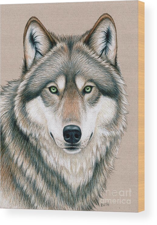 Wolf Wood Print featuring the drawing Wolf with Eyes of Fierce Green Fire by Rebecca Wang