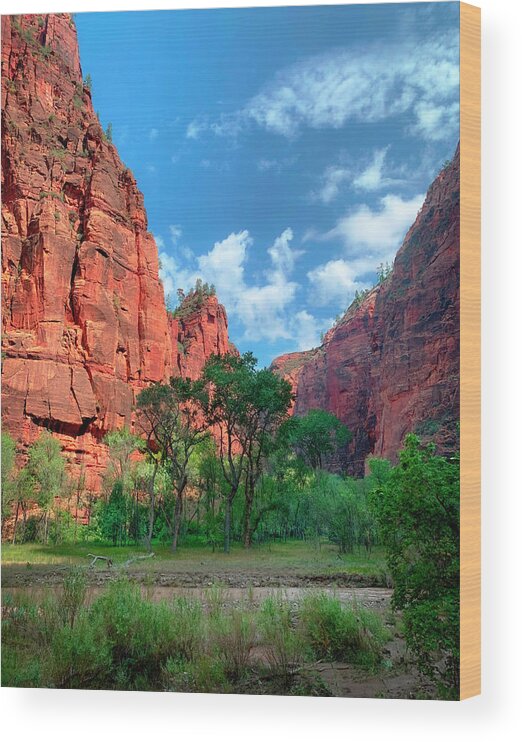 Photographs Wood Print featuring the photograph Zion Virgin River Early Morning by John A Rodriguez