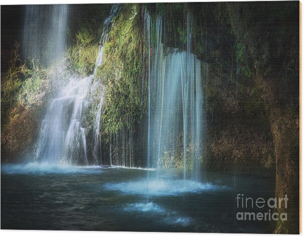 Tree Wood Print featuring the photograph A Resting Place at Natural Falls by Tamyra Ayles