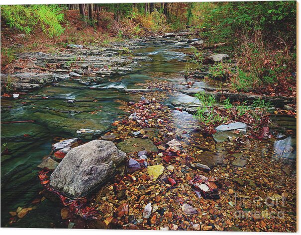 Landscape Wood Print featuring the photograph Beaver's Bend Tiny Stream by Tamyra Ayles