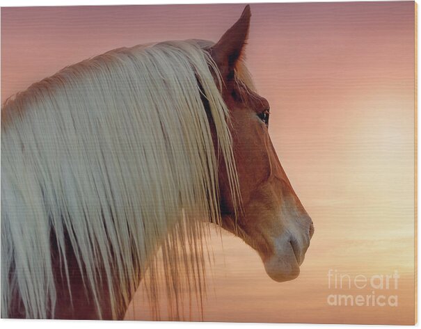 belgian Draft Horse  Wood Print featuring the photograph Deep in Thought by Tamyra Ayles