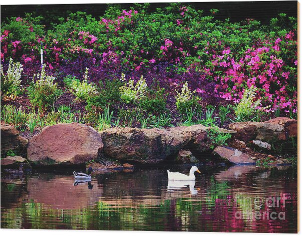 Tamyra Wood Print featuring the photograph Ethreal Beauty at the Azalea Pond by Tamyra Ayles