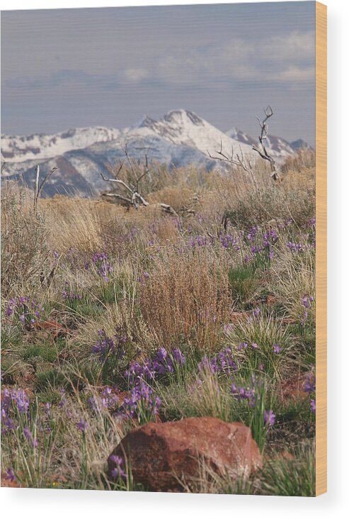 Elko Nevada Landscape Photography Wood Print featuring the photograph A Touch of Color by Jenessa Rahn