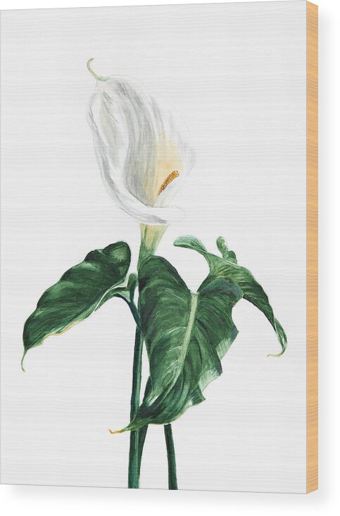 Flowers Wood Print featuring the painting Calla #4 by Masha Batkova