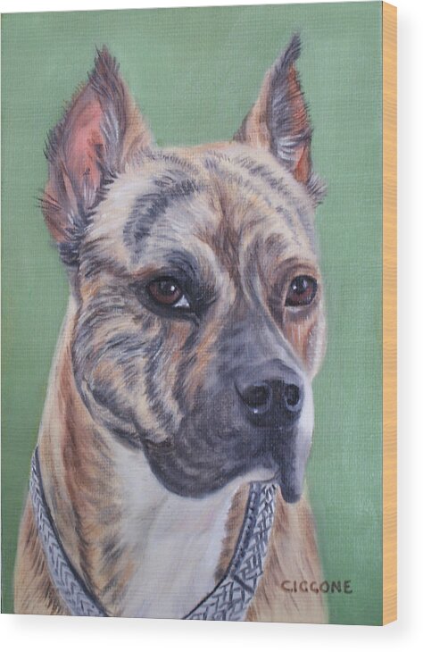 Canine Wood Print featuring the painting Jade by Jill Ciccone Pike