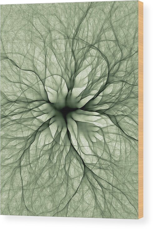 Physics Wood Print featuring the photograph Electron Flow #11 by Eric Heller