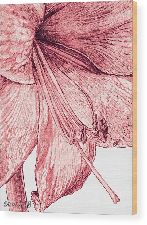 Mccombie Wood Print featuring the painting Amaryllis #4 by J McCombie