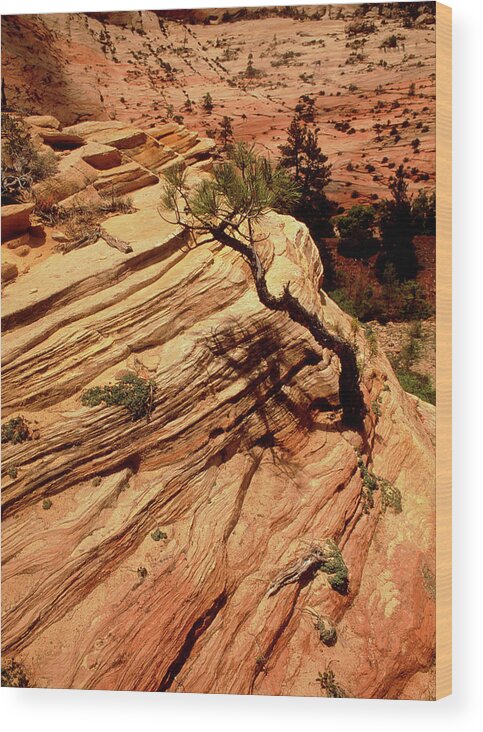 Cliff Wood Print featuring the photograph Sedimentary Cliff Strata #3 by Tony Craddock/science Photo Library