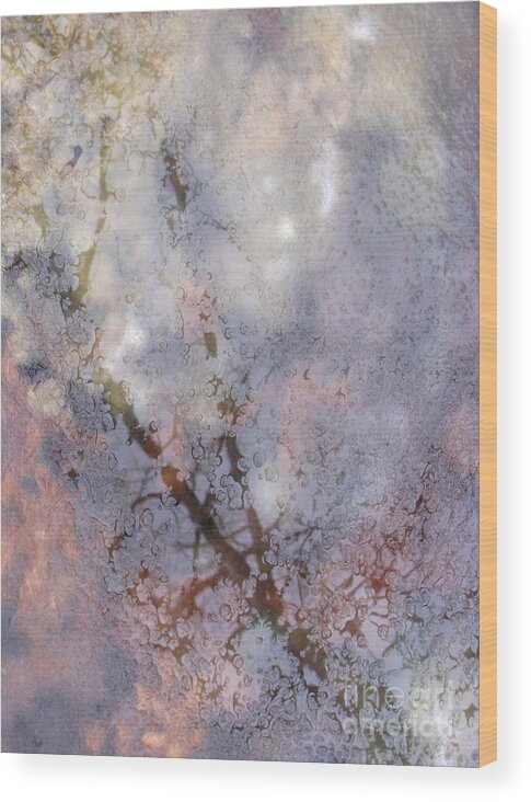 Abstract Nature Wood Print featuring the photograph Ice Tree #4 by Fred Sheridan