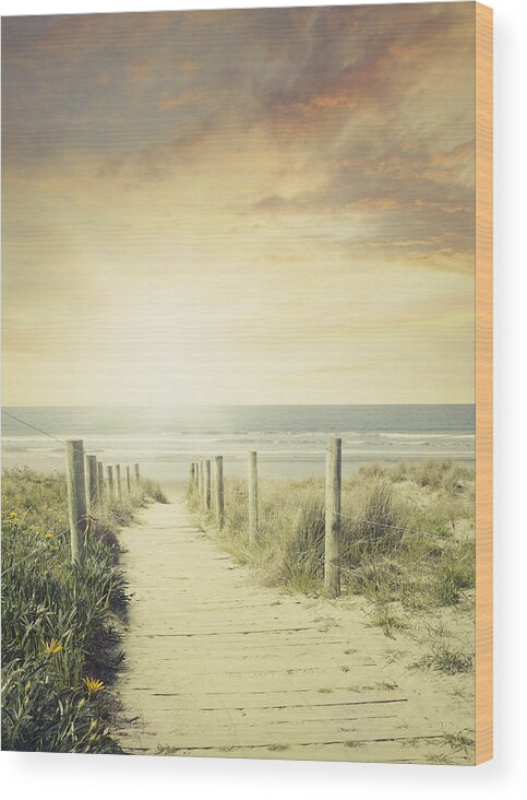 Beach Wood Print featuring the photograph Walkway #4 by Les Cunliffe