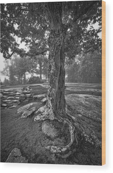  Wood Print featuring the photograph Untitled #87 by Bill Martin
