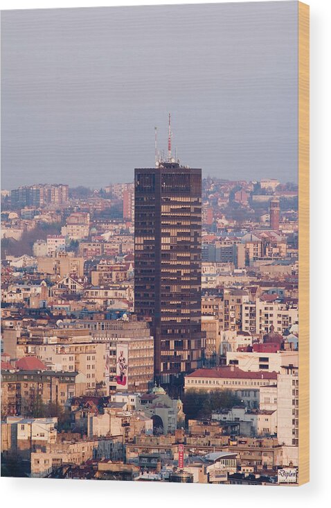 Aerials Wood Print featuring the photograph Belgrade, Serbia #9 by Russell Gordon