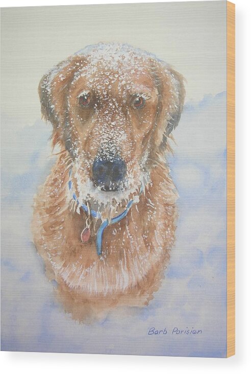 Dog Wood Print featuring the painting Abby by Barbara Parisien