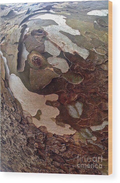 Sycamore Tree Prints Wood Print featuring the digital art Almost human by Delona Seserman