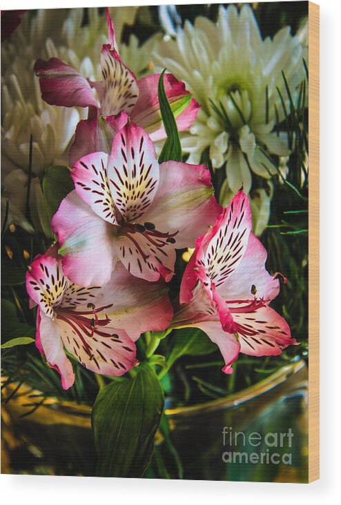 Pink Wood Print featuring the photograph Alstroemeria by Robert Bales