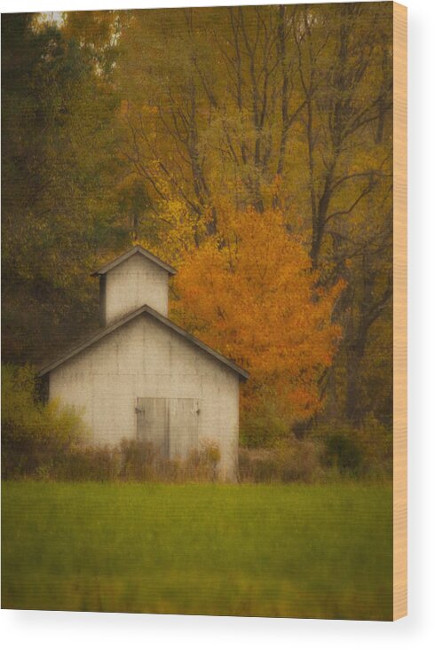 Autumn Wood Print featuring the photograph Autumn Solace by Cindy Haggerty