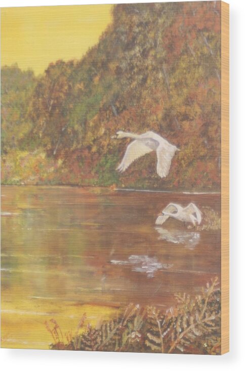 Swans Wood Print featuring the painting Autumn swans right by David Capon