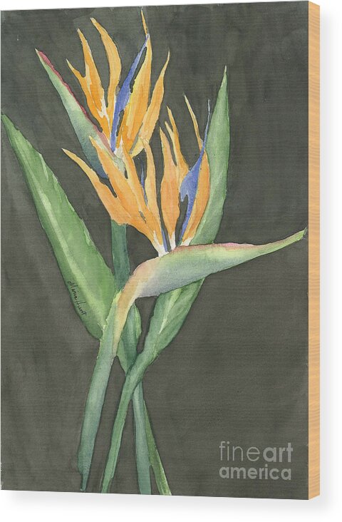 Bird Of Paradise Flowers On Black Background. Simple But Elegant Flowers. Orange And Blue Flowers Wood Print featuring the painting Bird of Paradise by Maria Hunt