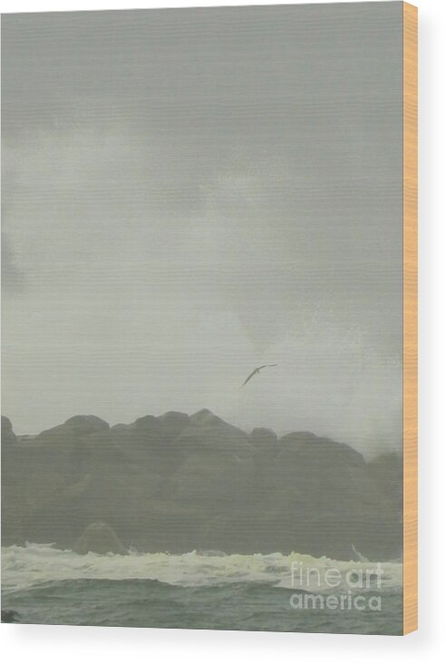 Seagull Wood Print featuring the photograph Bird Splash by Gallery Of Hope 
