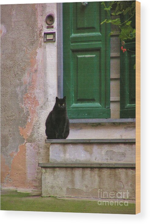 Black Car Wood Print featuring the photograph Black Cat by Michele Penner
