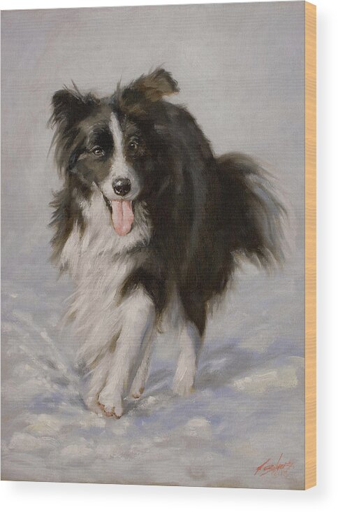Border Collie Wood Print featuring the painting Border Collie portrait I by John Silver
