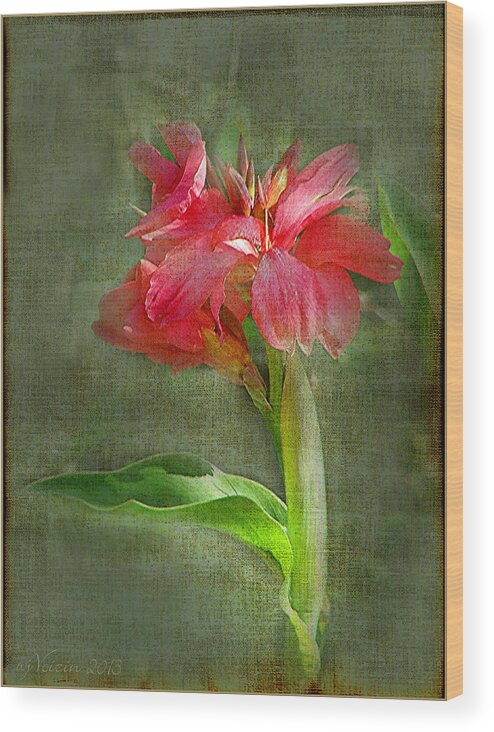 Canna Red - Bill Voizin Wood Print featuring the photograph Canna Red by Bill Voizin