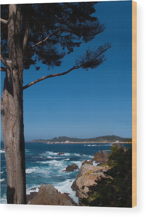 Pine Tree Wood Print featuring the photograph Carmel Highlands by Derek Dean