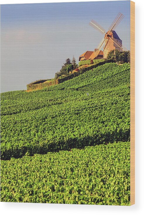 Viewpoint Wood Print featuring the photograph Champagne by Kodachrome25