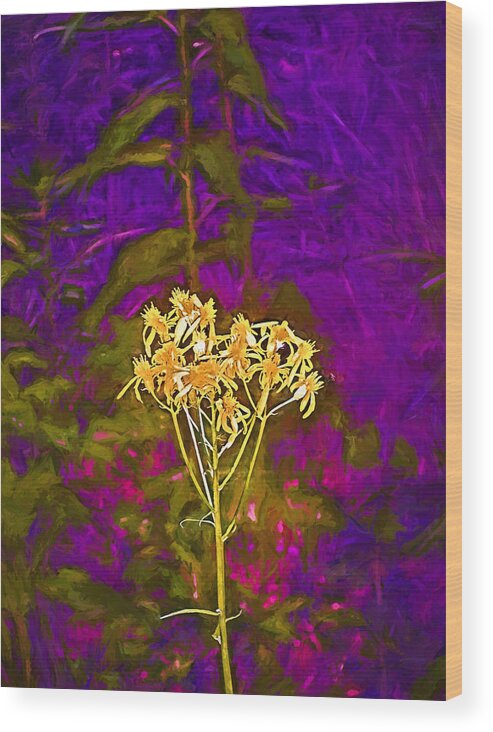 Floral Wood Print featuring the photograph Color 5 by Pamela Cooper