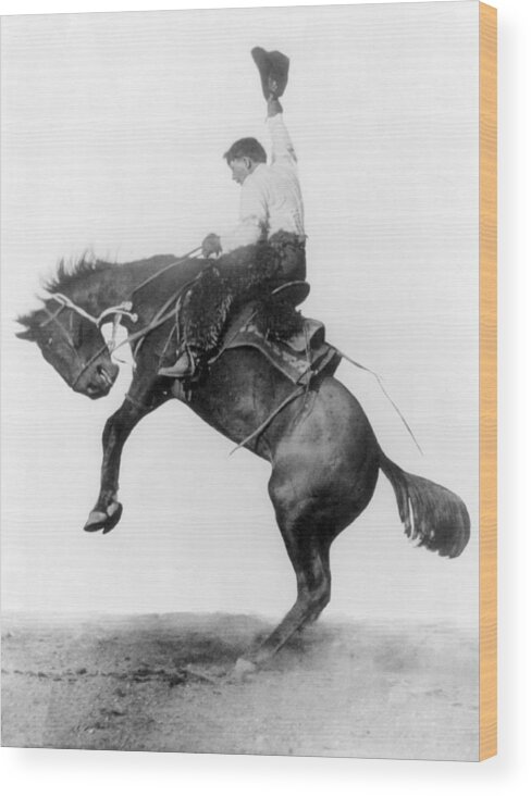 Occupation Wood Print featuring the photograph Cowboy Riding Bucking Bronco, 1911 by Science Source