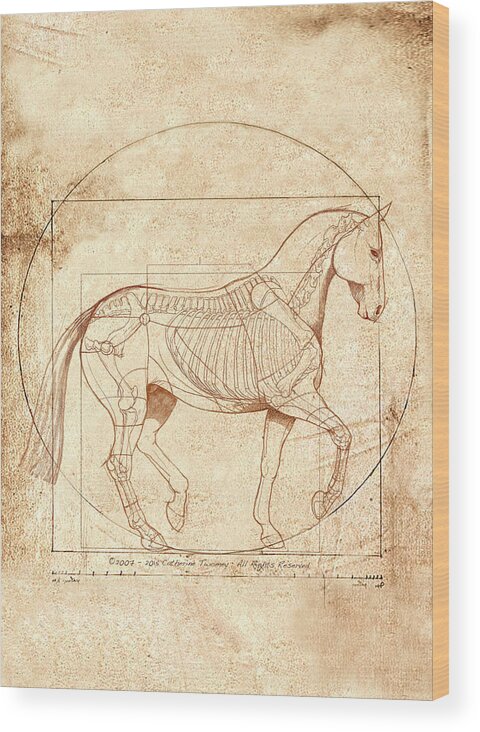 Equine Wood Print featuring the painting da Vinci Horse in Piaffe by Catherine Twomey