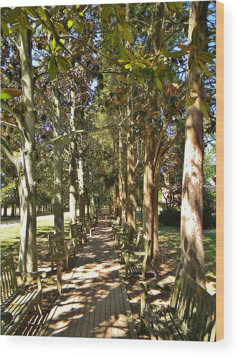 Trees Wood Print featuring the photograph Dappled by Jean Goodwin Brooks