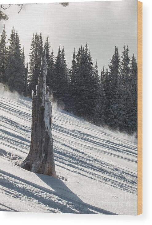 Snow Wood Print featuring the photograph Deeply weathered by Franz Zarda