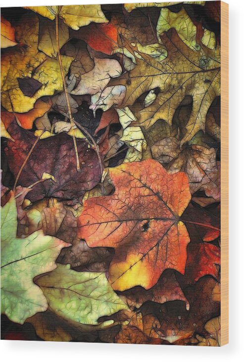 Leaf Wood Print featuring the photograph Fall Colors by Lyle Hatch