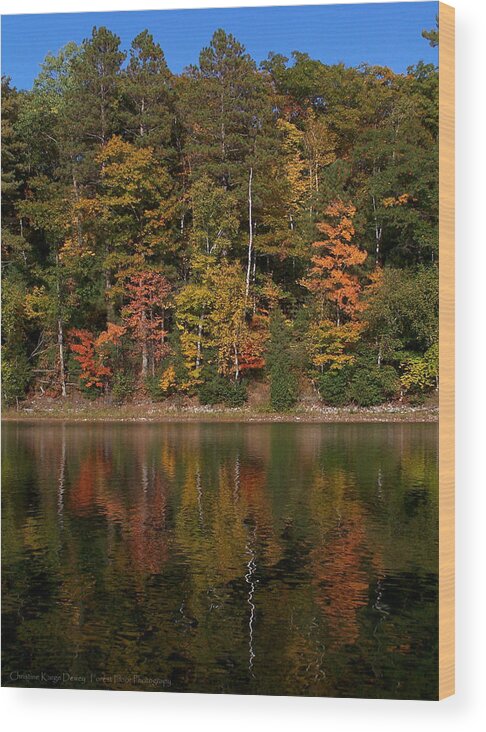Fall Wood Print featuring the photograph Fall Reflection by Forest Floor Photography