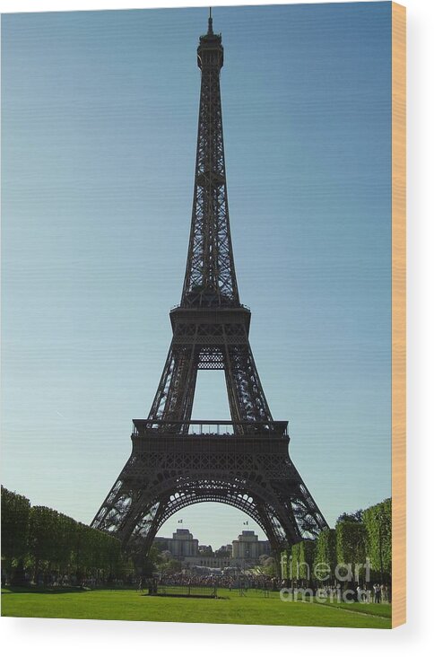 Park Wood Print featuring the photograph From Champ de Mars by Valerie Shaffer