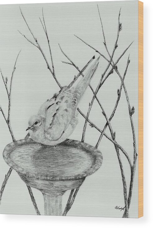 Bird Wood Print featuring the drawing Going In by Wendy Brunell