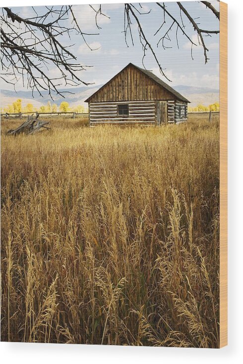 Golden Wood Print featuring the photograph Golden Cabin by Sonya Lang