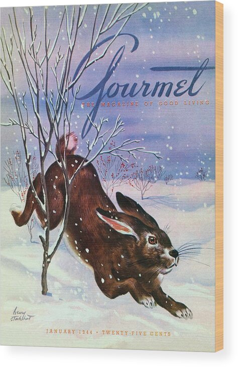 Illustration Wood Print featuring the photograph Gourmet Cover Of A Rabbit On Snow by Henry Stahlhut
