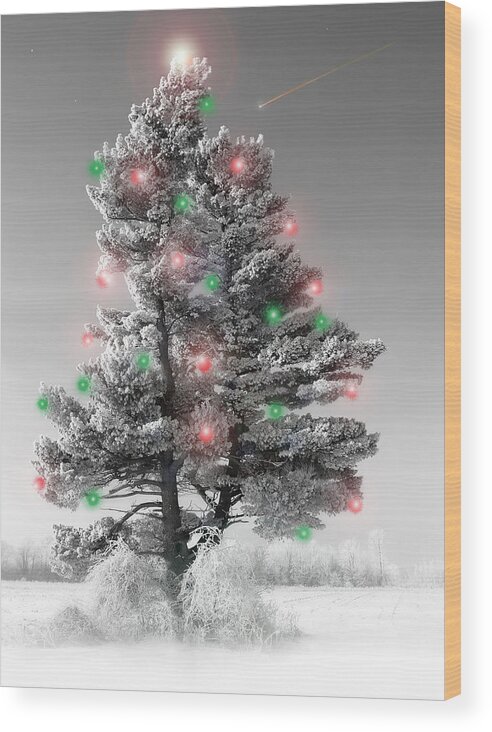 Christmas Tree.pine Wood Print featuring the photograph Great White Christmas Pine by John Bartosik