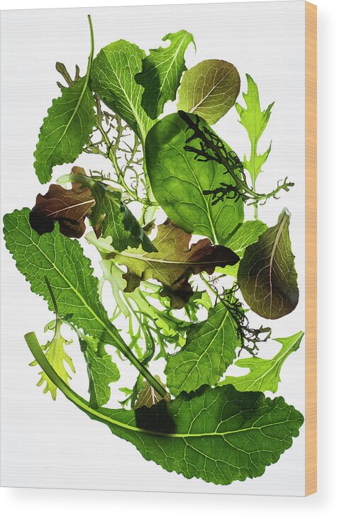 White Background Wood Print featuring the photograph Greens On White by Jack Andersen
