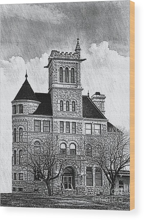 Architecture Wood Print featuring the photograph Historic City Hall Springfield Mo by Debbie Portwood
