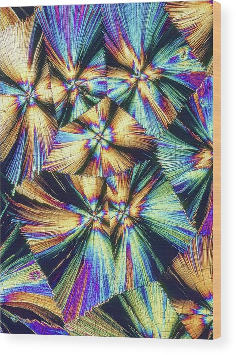 Biochemical Wood Print featuring the photograph Human Growth Hormone Crystals by Alfred Pasieka