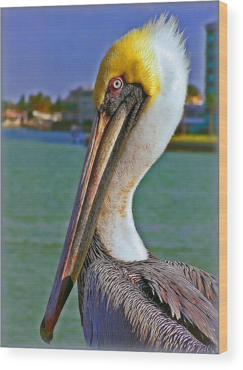 Pelican Wood Print featuring the photograph I'm the King by Hanny Heim