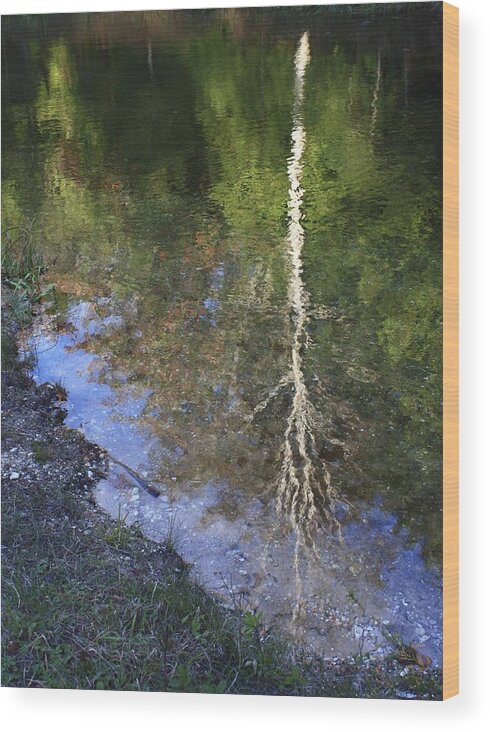Reflections Wood Print featuring the photograph Impressionist Reflections by Patrice Zinck