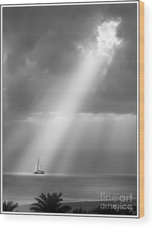 Seascape Wood Print featuring the photograph In the Spotlight by Mariarosa Rockefeller