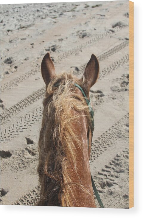 Horse Wood Print featuring the photograph Jac's Ears 2 by Cathy Lindsey