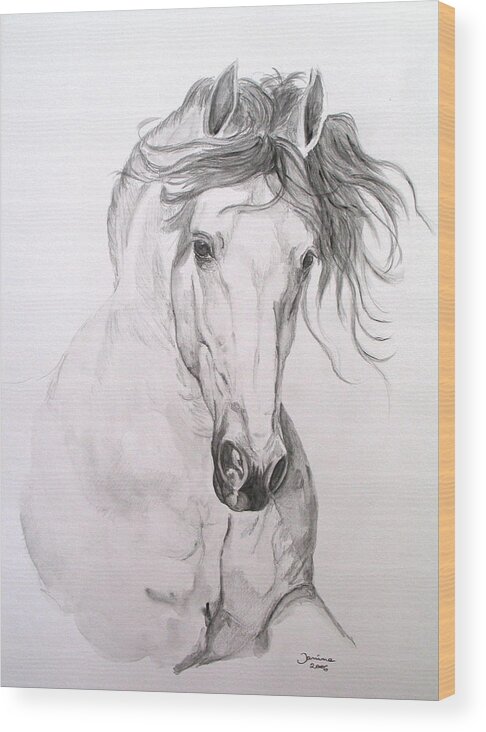 Horse Original Painting Wood Print featuring the painting Jaqueton X by Janina Suuronen