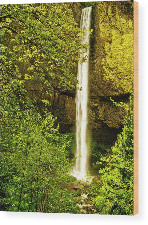 Scenics Wood Print featuring the photograph Latourell Falls, Columbia River Gorge by Steve Bly