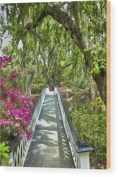 Long Withe Bridge Wood Print featuring the photograph Long White Bridge by Bill Barber